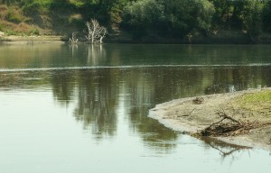 Как зарегаться на кракене