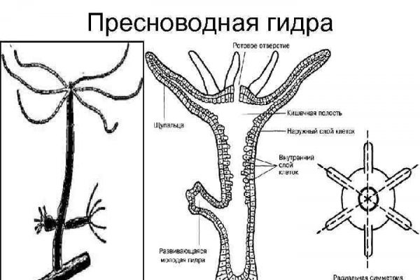 Ссылка кракен даркнет маркет