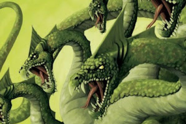 Kraken onion link